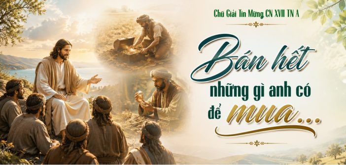 Bán hết những gì anh có để mua …- Chú Giải Tin Mừng CN XVII TN A