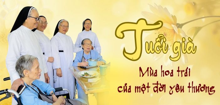 Tuổi già – Mùa hoa trái của một đời yêu thương