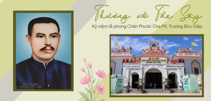 Thương về Tắc Sậy