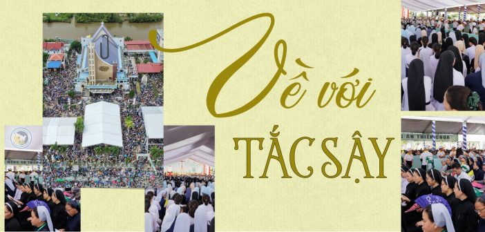 Về với Tắc Sậy