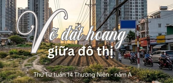 Vỡ đất hoang giữa đô thị – Thứ Tư, ngày 08.7.2026