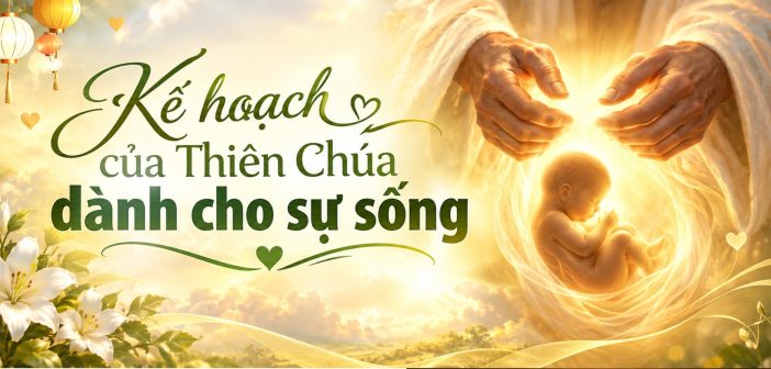 Kế hoạch của Thiên Chúa dành cho sự sống