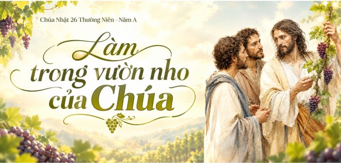 Làm trong vườn nho của Chúa – Chúa Nhật 26 Thường Niên, năm A