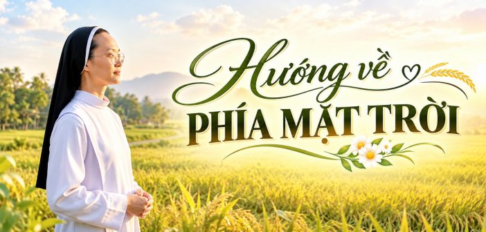 Hướng về phía mặt trời
