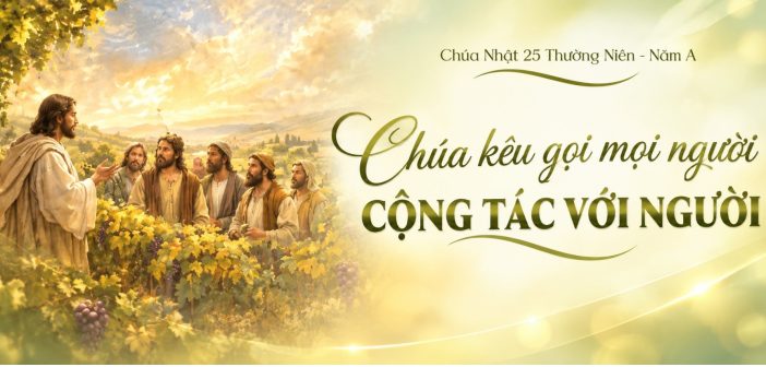 Chúa kêu gọi mọi người cộng tác với Người – CN 25 TN, năm A