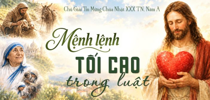 Mệnh lệnh tối cao trong luật – Chú giải Tin Mừng CN 30 TN, năm A